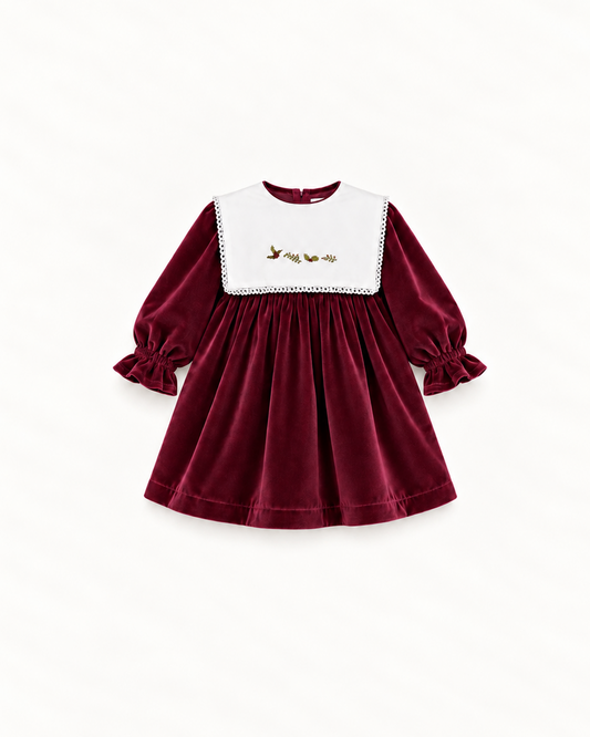 Vestido De Veludo Com Gola Bordada Amovível